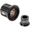 Freilauf/Rotor Umrüstkit Shimano für Ratchet, DT SWISS, Schwarz, 12 x 142/148 mm - 12 x 142/148 mm