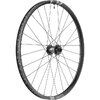 Laufrad F1900 Classic 29  30 mm, DT SWISS, Schwarz, 622 x 30 mm - 622 x 30 mm