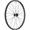Laufrad EX 1700 CLASSIC 29  30 mm, DT SWISS, Schwarz, 622 x 30 mm - 622 x 30 mm