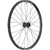 Laufrad EX 1700 CLASSIC 29  30 mm, DT SWISS, Schwarz, 622 x 30 mm - 622 x 30 mm