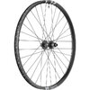 Laufrad F1900 Classic 29  30 mm, DT SWISS, Schwarz, 622 x 30 mm - 622 x 30 mm