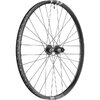 Laufrad F1900 Classic 29  30 mm, DT SWISS, Schwarz, 622 x 30 mm - 622 x 30 mm