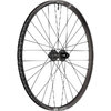 Laufrad EX 1700 CLASSIC 29  30 mm, DT SWISS, Schwarz, 622 x 30 mm - 622 x 30 mm