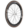 Laufrad ARC 1100 DICUT 55 mm WTS White Ltd, DT SWISS, Schwarz/weiß, 622 x 22 mm - 622 x 22 mm